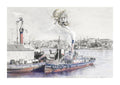 Waratah @blackWattle Bay Giclee Print