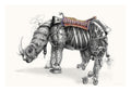 roboRhino